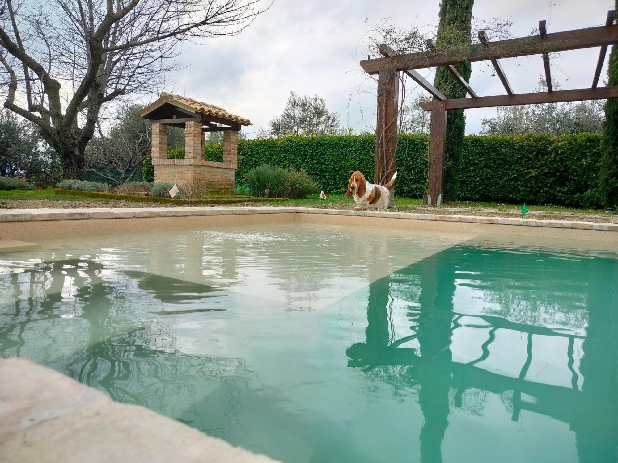 Ca' Le Cerque, Villa Surrounded By The Marche Nature Fossombrone Exterior foto